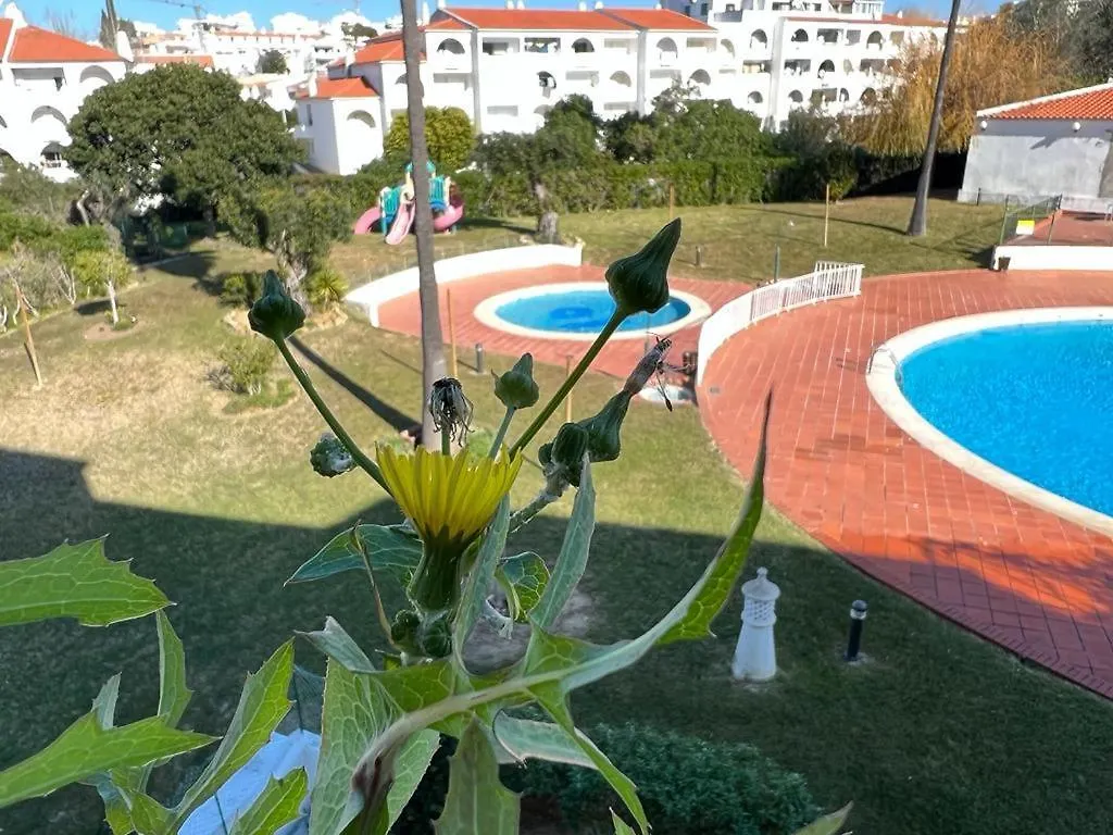 Painel De Albufeira Apartment Portugal